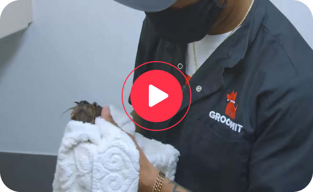 Groomit In-Home Service