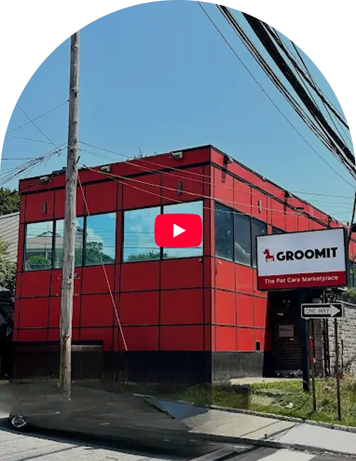 MObile Image